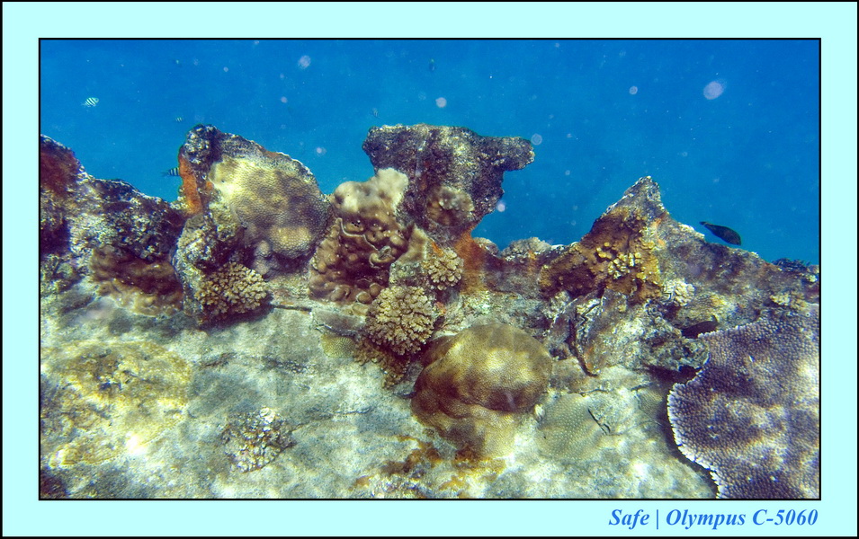 2008 - 07 - Redang - 051